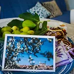 Tatil Evi Vinci 1906