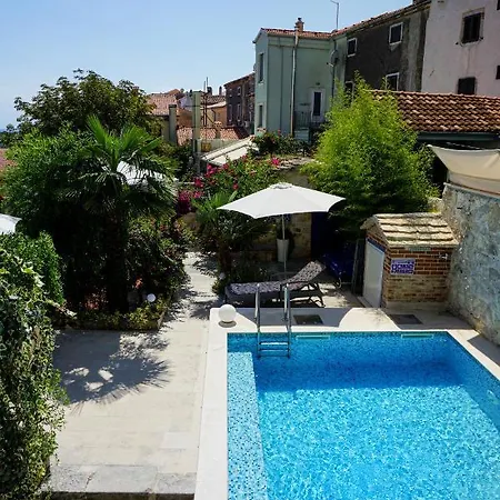 Vinci 1906 * Врсар