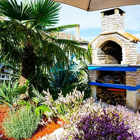 Vinci 1906 * Врсар