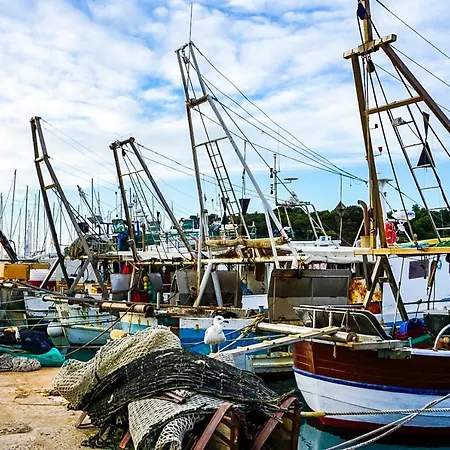 Vinci 1906 Врсар