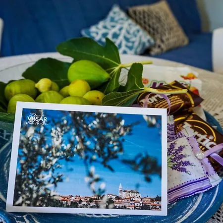 Дом отдыха Vinci 1906