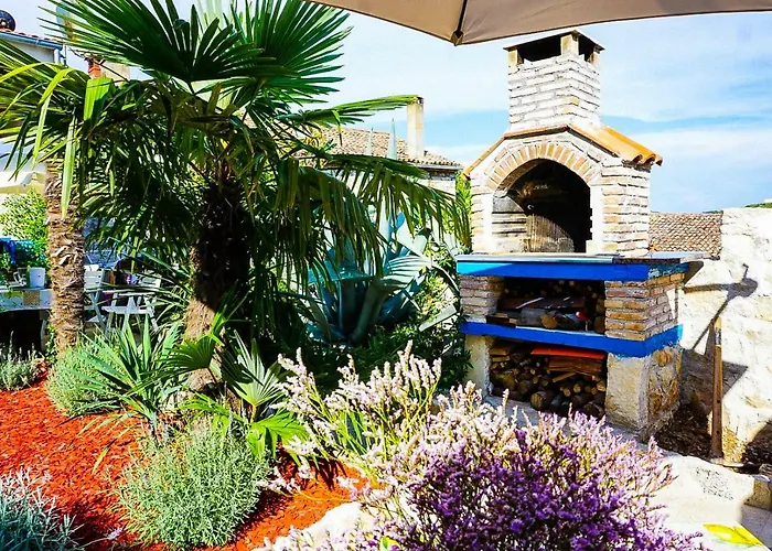 Vinci 1906 * 브르사르