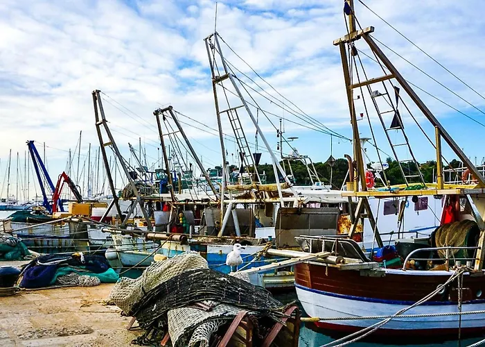 Vinci 1906 브르사르